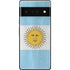 Argentina Flag Distressed Google Pixel 6 Pro Skin